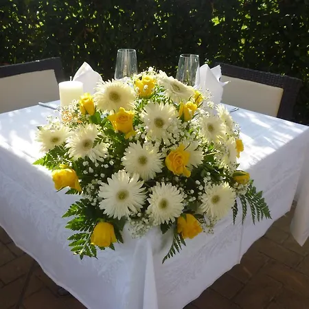La Fornace Hotel 3*
